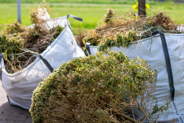 Trash Removal Near Me in Seaford, NY